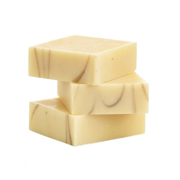 Hndsbe fra Munkholm Moler