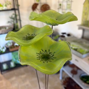 Glas blomst p� pind, gr�n