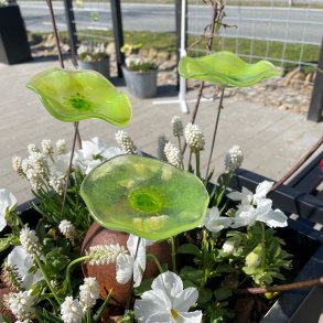 Glas blomst p pind, grn