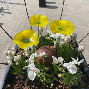 Glas blomst p pind, gul