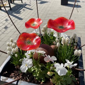 Glas blomst p pind, rd