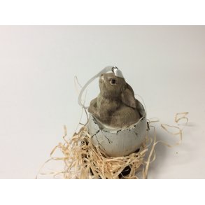 Kanin i ggeskal fra La Vida