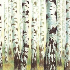  Servietter IRH med birkestammer
