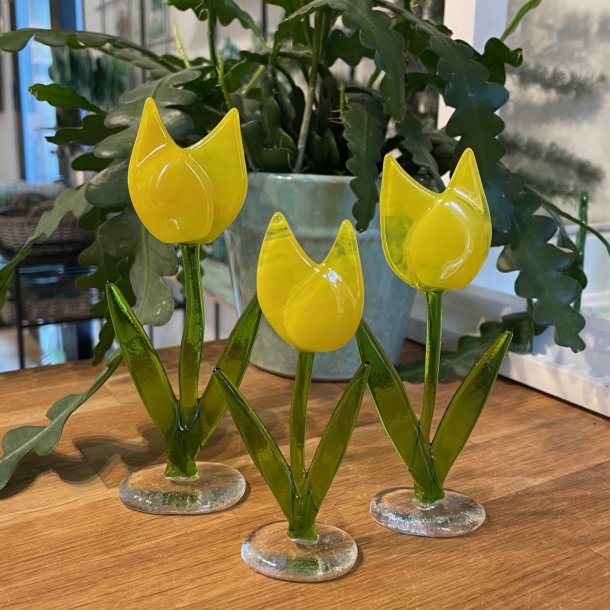 Blomst: Tulipan i glas p fod, gul