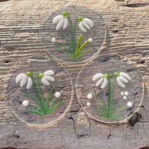 Blomster ophng: Vintergkker